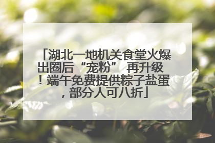 湖北一地机关食堂火爆出圈后“宠粉” 再升级！端午免费提供粽子盐蛋，部分人可八折