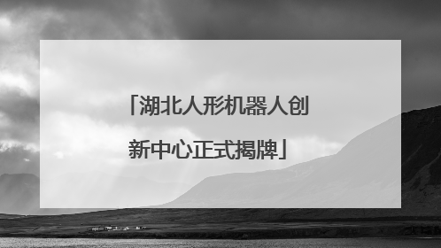 湖北人形机器人创新中心正式揭牌