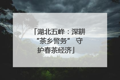 湖北五峰：深耕“茶乡警务” 守护春茶经济