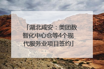 湖北咸安：美团数智化中心仓等4个现代服务业项目签约