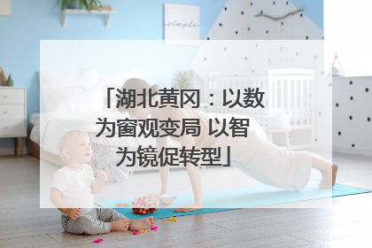 湖北黄冈：以数为窗观变局 以智为镜促转型