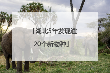 湖北5年发现逾20个新物种