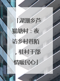 湖潮乡芦猫塘村：夜访乡村巷陌，驻村干部情暖民心