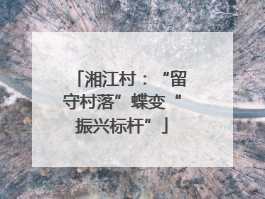 湘江村：“留守村落”蝶变“振兴标杆”