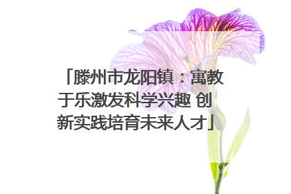 滕州市龙阳镇：寓教于乐激发科学兴趣 创新实践培育未来人才