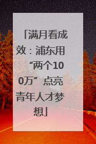 满月看成效：浦东用“两个100万”点亮青年人才梦想