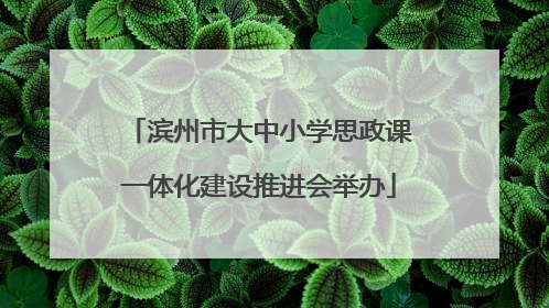 滨州市大中小学思政课一体化建设推进会举办