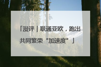 漫评｜联通亚欧，跑出共同繁荣“加速度”