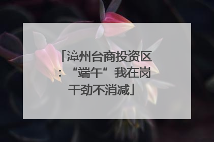 漳州台商投资区：“端午”我在岗 干劲不消减