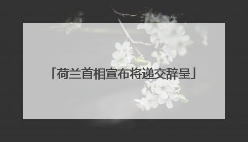荷兰首相宣布将递交辞呈