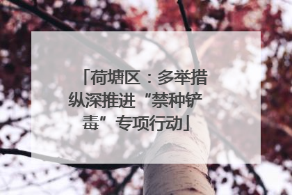 荷塘区：多举措纵深推进“禁种铲毒”专项行动