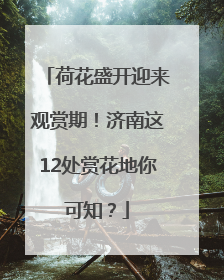 荷花盛开迎来观赏期！济南这12处赏花地你可知？