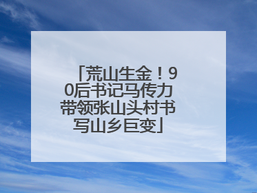 荒山生金！90后书记马传力带领张山头村书写山乡巨变