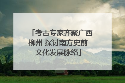 考古专家齐聚广西柳州 探讨南方史前文化发展脉络