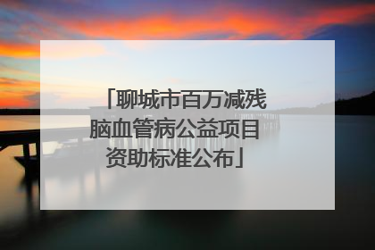 聊城市百万减残脑血管病公益项目资助标准公布