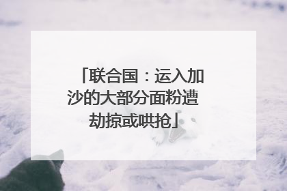 联合国：运入加沙的大部分面粉遭劫掠或哄抢