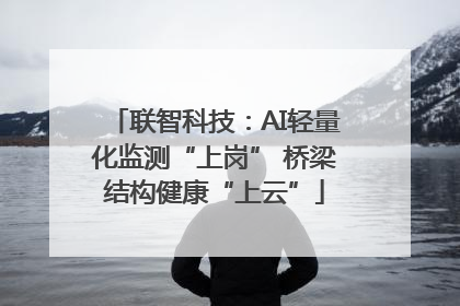 联智科技：AI轻量化监测“上岗” 桥梁结构健康“上云”