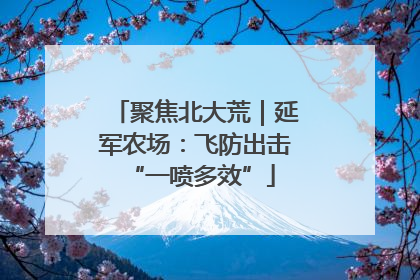 聚焦北大荒｜延军农场：飞防出击 “一喷多效”