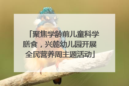 聚焦学龄前儿童科学膳食，兴麓幼儿园开展全民营养周主题活动