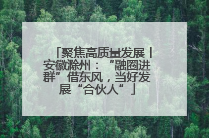 聚焦高质量发展丨安徽滁州：“融圈进群”借东风，当好发展“合伙人”