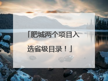 肥城两个项目入选省级目录！