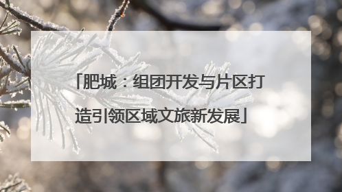 肥城：组团开发与片区打造引领区域文旅新发展