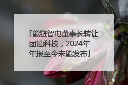 能链智电董事长转让团油科技，2024年年报至今未能发布