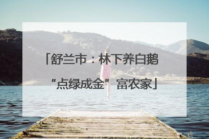 舒兰市：林下养白鹅 “点绿成金”富农家