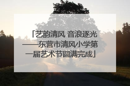艺韵清风 音浪逐光——东营市清风小学第一届艺术节圆满完成