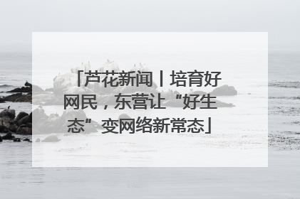 芦花新闻丨培育好网民，东营让“好生态”变网络新常态