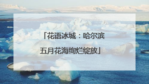 花语冰城：哈尔滨五月花海绚烂绽放