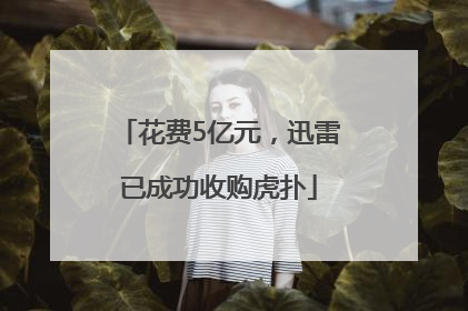 花费5亿元，迅雷已成功收购虎扑