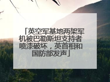 英空军基地两架军机被巴勒斯坦支持者喷漆破坏，英首相和国防部发声