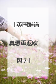 英国难道真想重返欧盟？