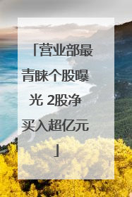 营业部最青睐个股曝光 2股净买入超亿元