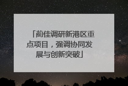 蔺佳调研新港区重点项目，强调协同发展与创新突破
