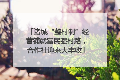 诸城“整村制”经营铺就富民强村路，合作社迎来大丰收