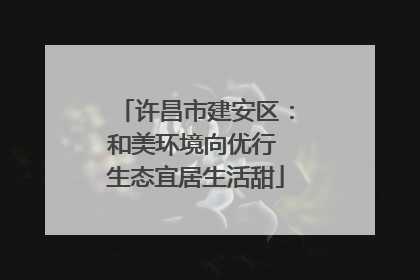 许昌市建安区：和美环境向优行 生态宜居生活甜