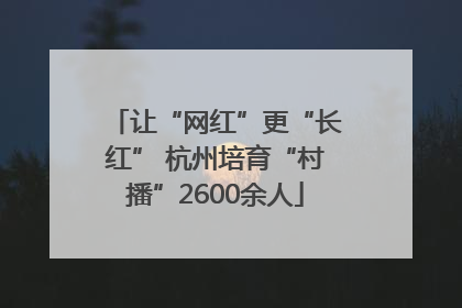 让“网红”更“长红” 杭州培育“村播”2600余人