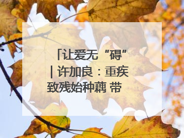让爱无“碍”｜许加良：重疾致残始种藕 带动致富靠双手