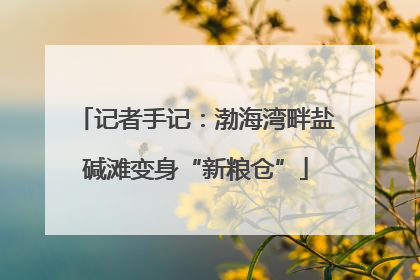 记者手记：渤海湾畔盐碱滩变身“新粮仓”