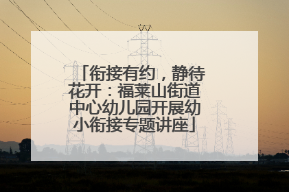 衔接有约，静待花开：福莱山街道中心幼儿园开展幼小衔接专题讲座