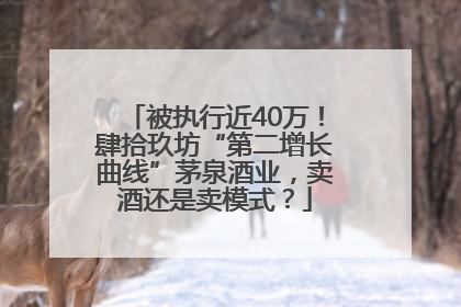 被执行近40万！肆拾玖坊“第二增长曲线”茅泉酒业，卖酒还是卖模式？