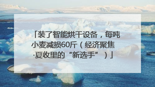 装了智能烘干设备，每吨小麦减损60斤（经济聚焦·夏收里的“新选手”）
