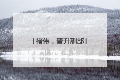 褚伟，晋升副部