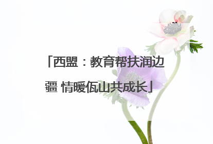 西盟：教育帮扶润边疆 情暖佤山共成长