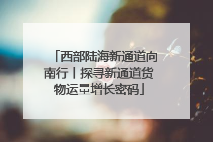 西部陆海新通道向南行丨探寻新通道货物运量增长密码
