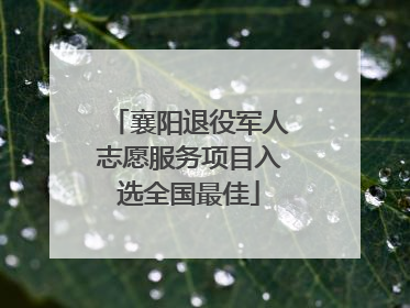襄阳退役军人志愿服务项目入选全国最佳