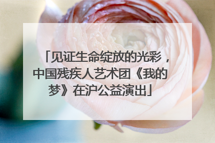 见证生命绽放的光彩，中国残疾人艺术团《我的梦》在沪公益演出