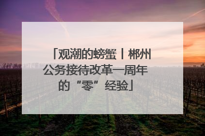 观潮的螃蟹丨郴州公务接待改革一周年的“零”经验